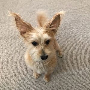 Meet your Posher, Mark